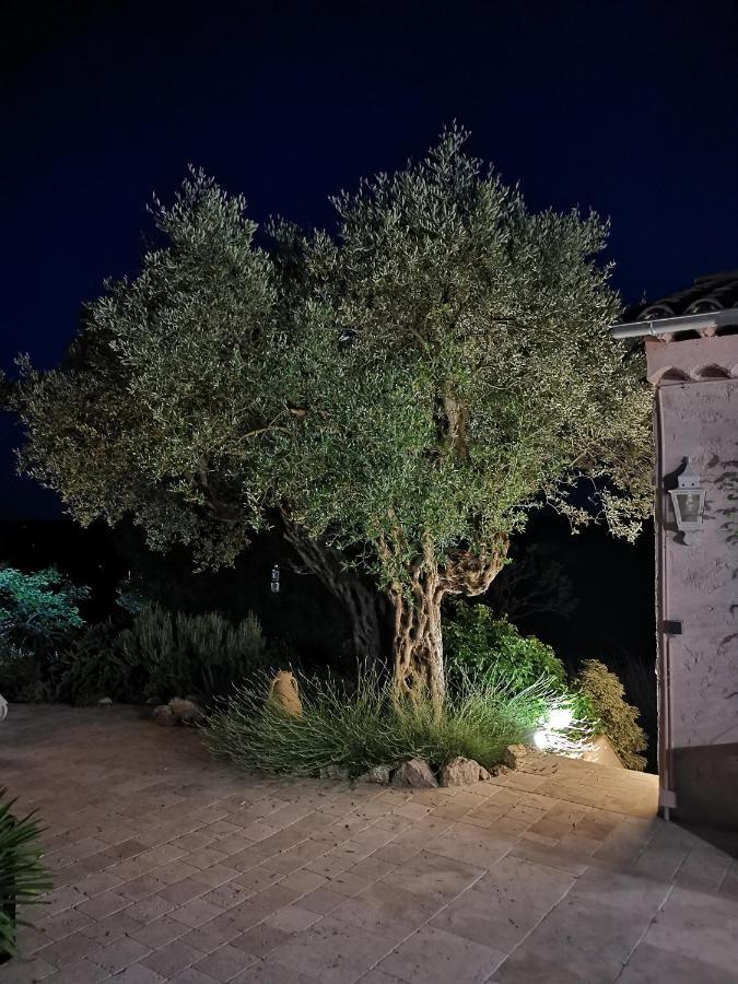 Bed and Breakfast Le Nid Des Arts Tourrettes Esterno foto