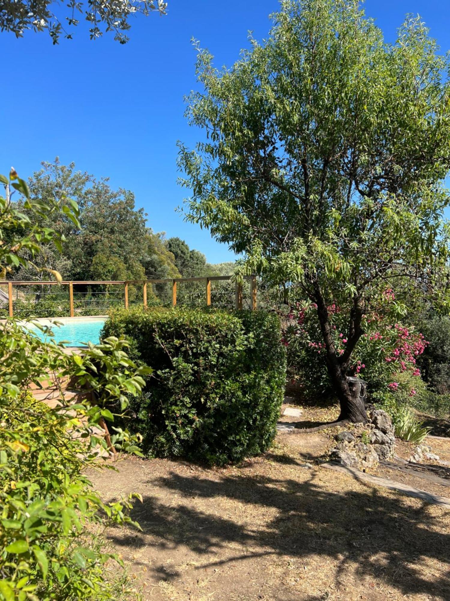 Bed and Breakfast Le Nid Des Arts Tourrettes Esterno foto